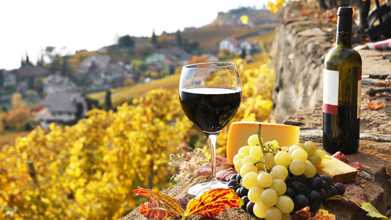Cultura del vino e l'Italia